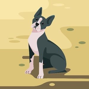 Meet your Posher, Wanda